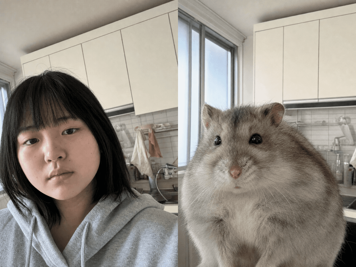 Input photos and example result for 나와 닮은 동물