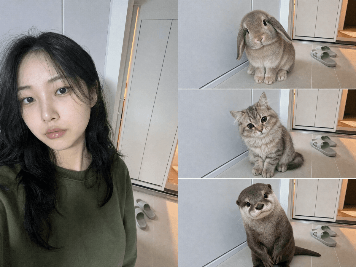 Input photos and example result for 닮은 동물 후보 3종