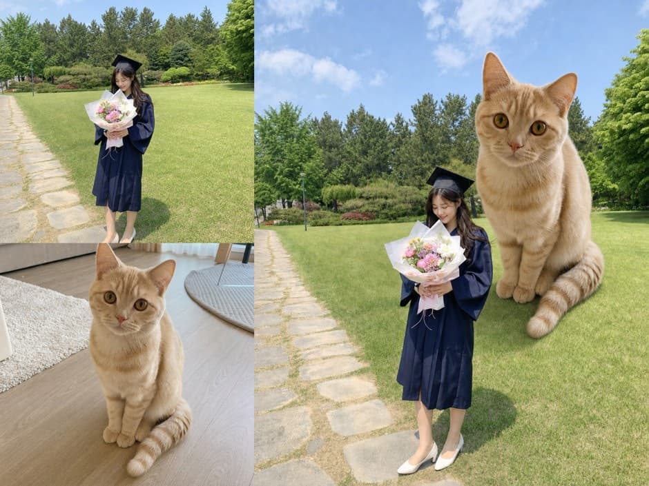 Input photos and example result for 왕큰 고먐미