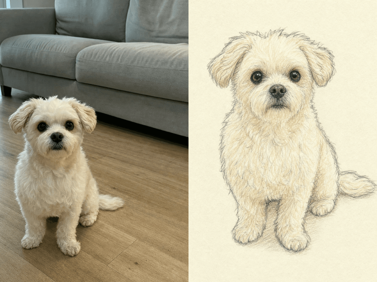 Input photos and example result for 강아지 낙서 그림