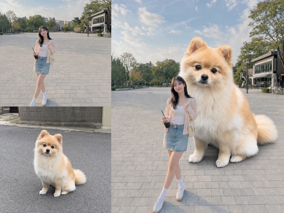 Input photos and example result for 왕큰 멈뭄미